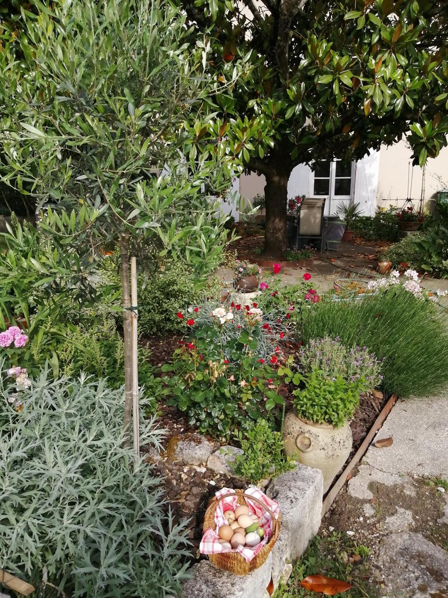 Au Logis De Vechillot Bed & Breakfast Angouleme Exterior photo