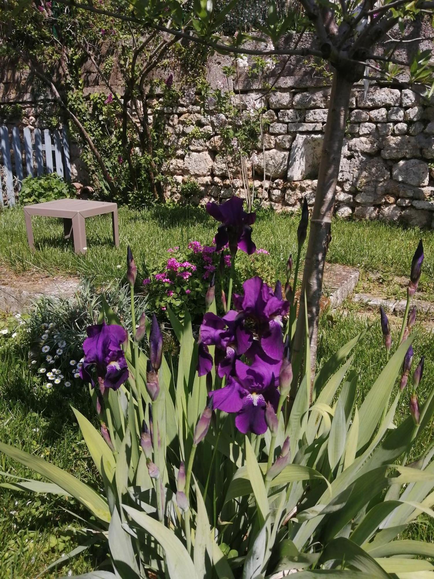 Au Logis De Vechillot Bed & Breakfast Angouleme Exterior photo